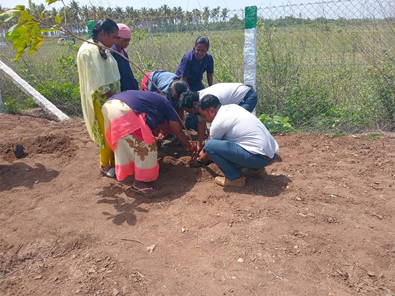 Summits Marks World Environment Day 2025 